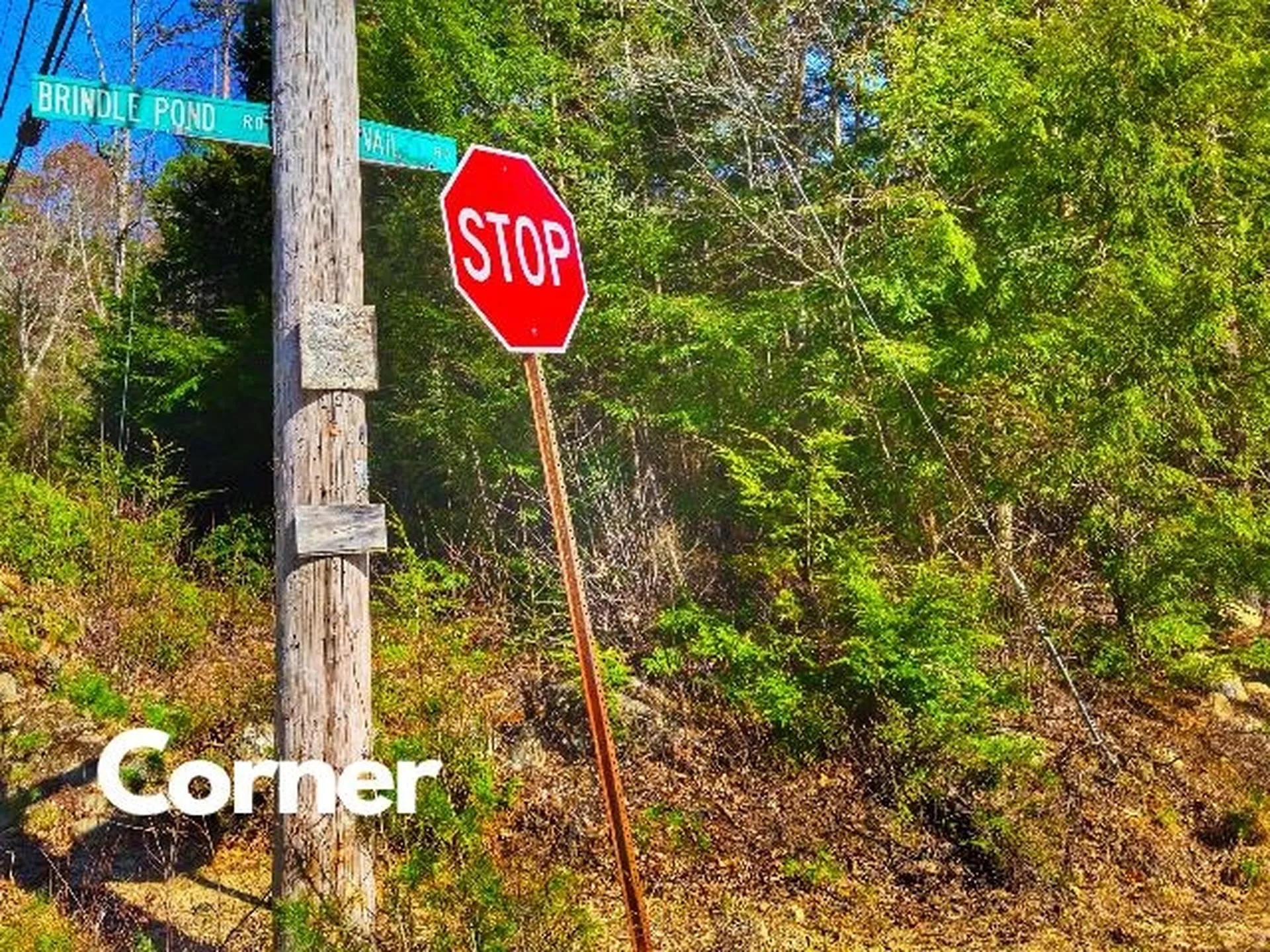 397 Shackford Corner Road Barnstead NH 03225