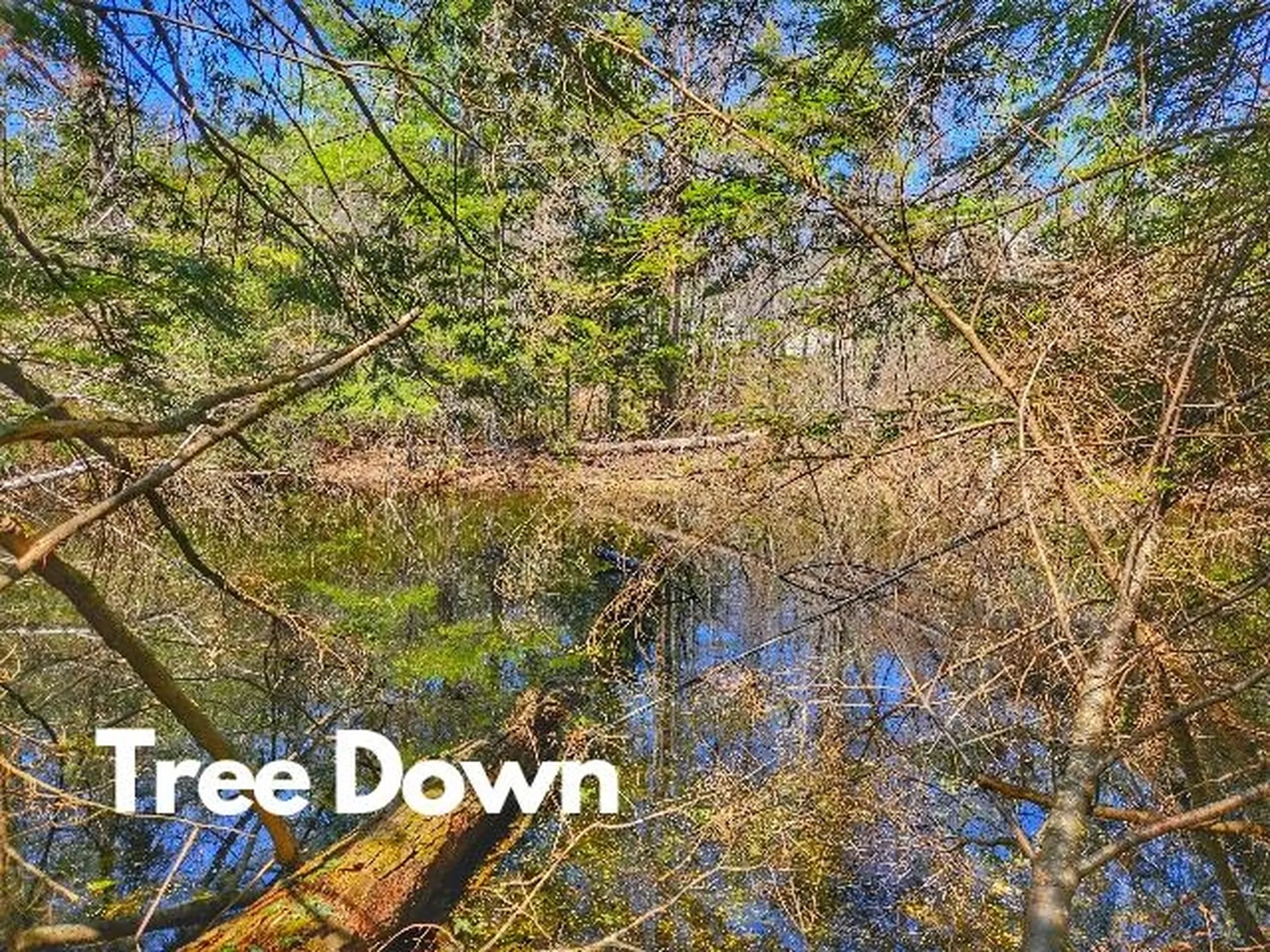 397 Shackford Corner Road Barnstead NH 03225