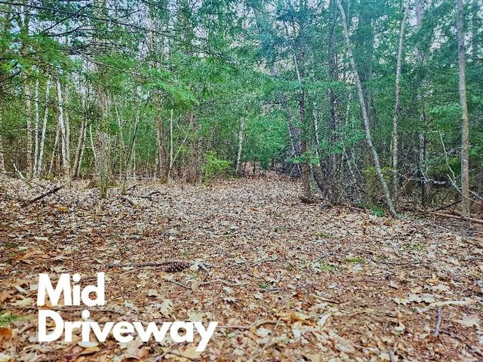 397 Shackford Corner Road Barnstead NH 03225