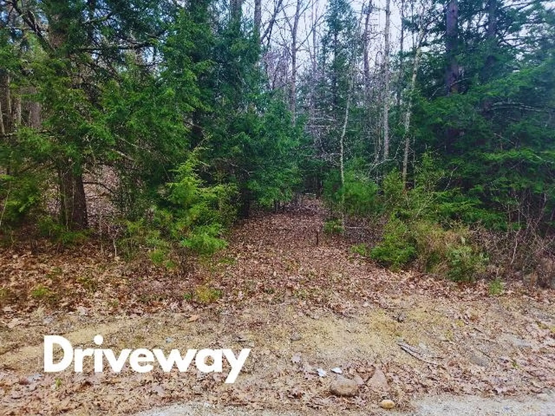 397 Shackford Corner Road Barnstead NH 03225