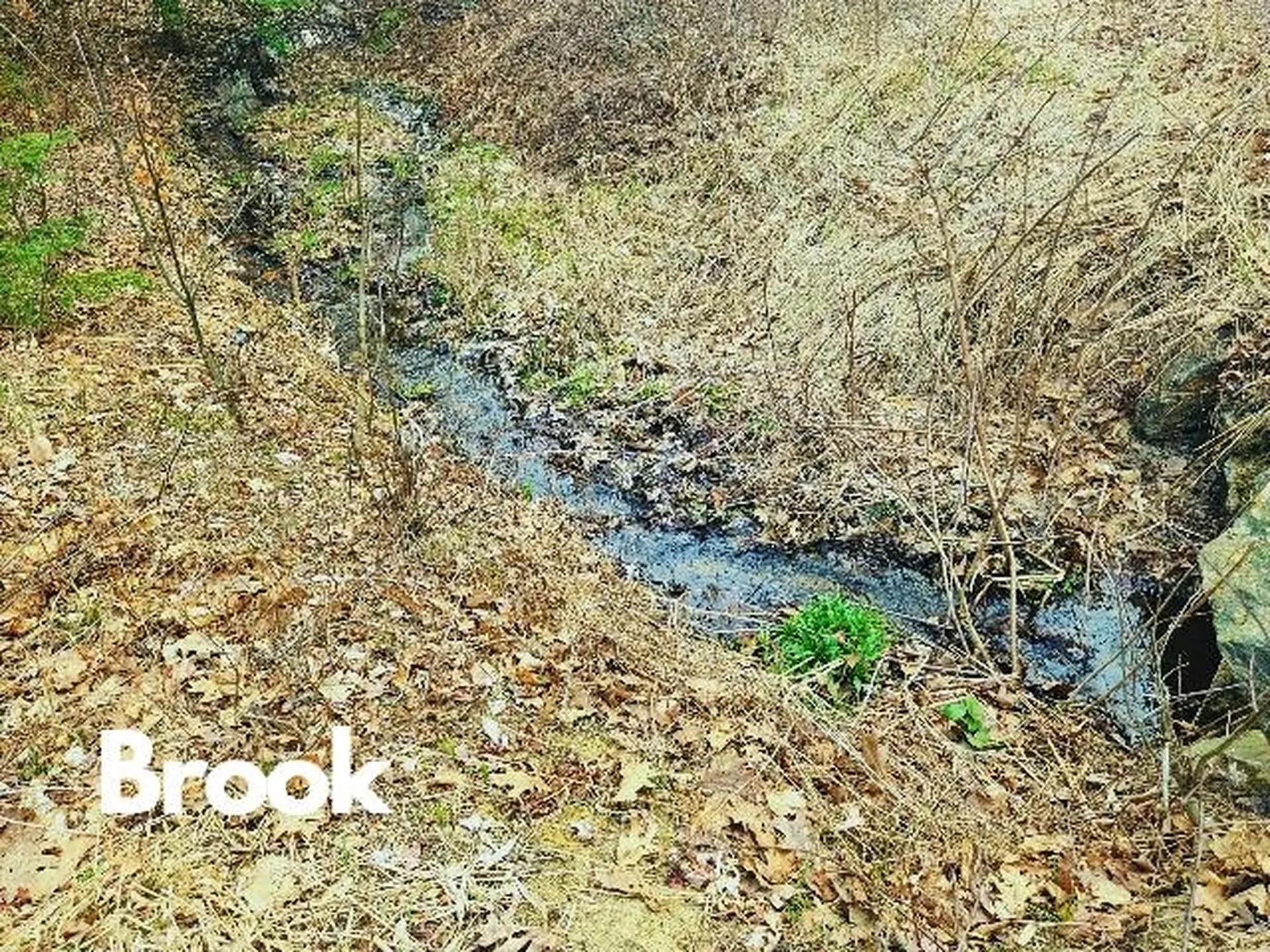 397 Shackford Corner Road Barnstead NH 03225