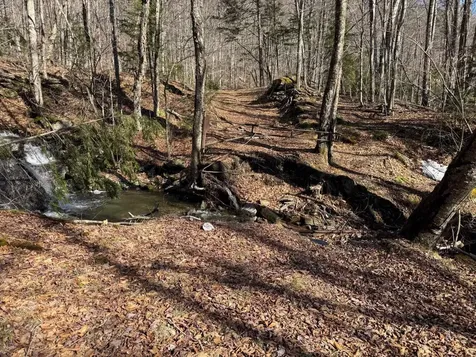 00 Chateauguay Road Bridgewater VT 05034