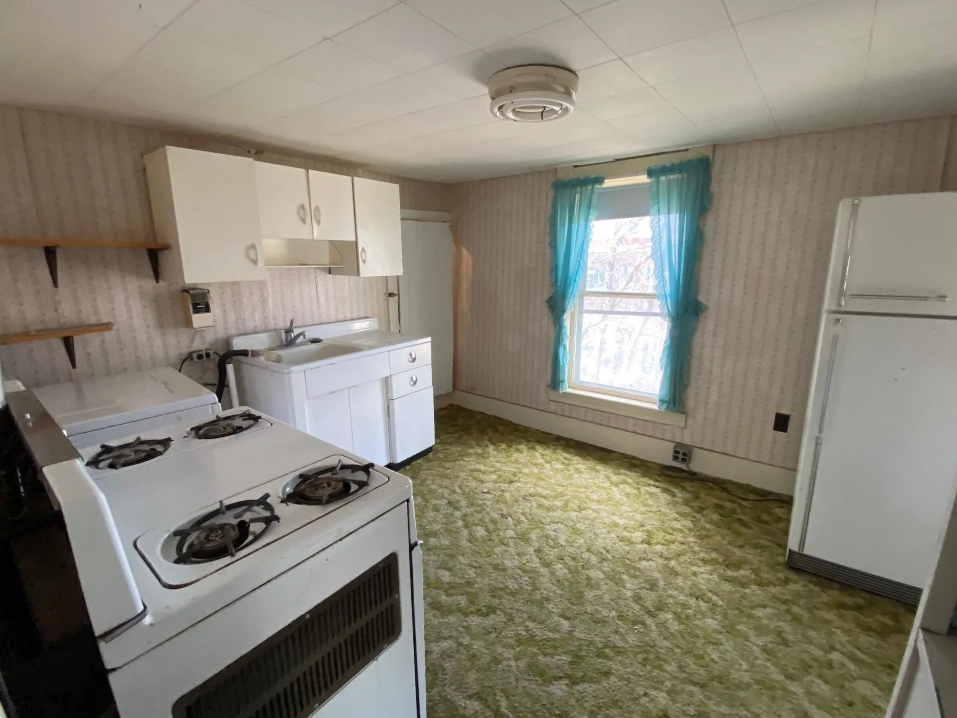 31 Marble Avenue Burlington VT 05401