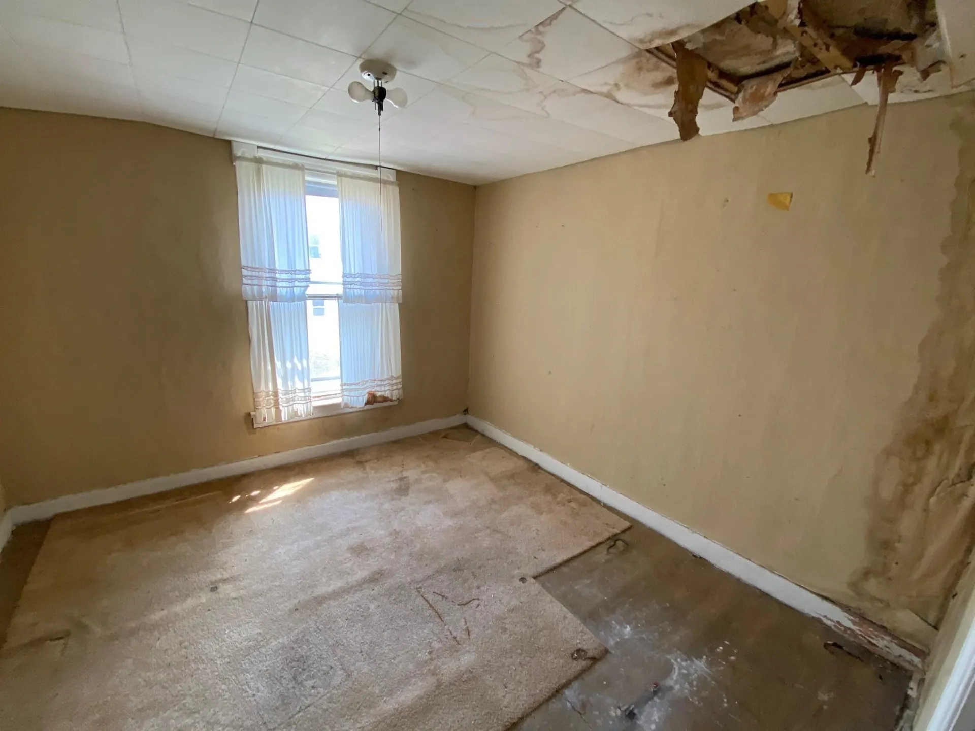 31 Marble Avenue Burlington VT 05401