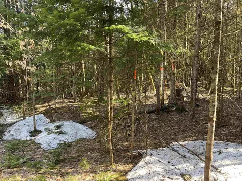 00 Sniderbrook Road Westfield VT 05874