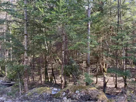 00 Sniderbrook Road Westfield VT 05874