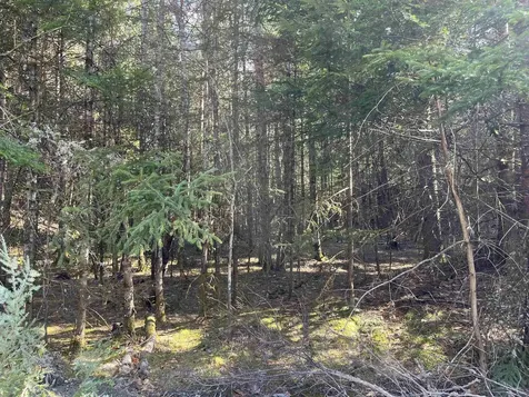 00 Sniderbrook Road Westfield VT 05874