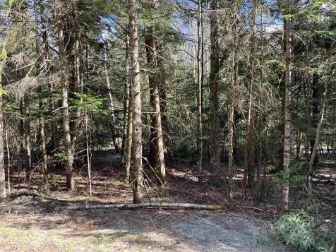00 Sniderbrook Road Westfield VT 05874