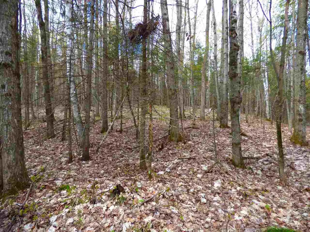 181 Corkins Road Charleston VT 05872