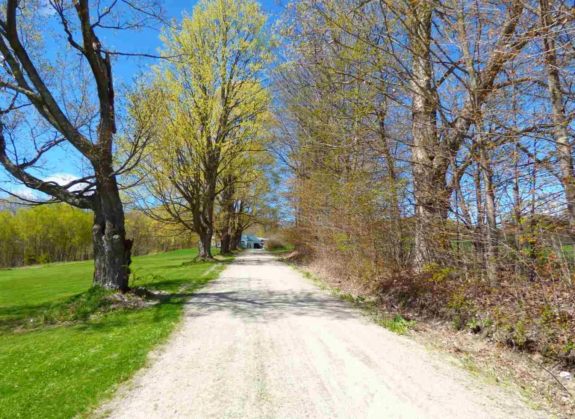 181 Corkins Road Charleston VT 05872