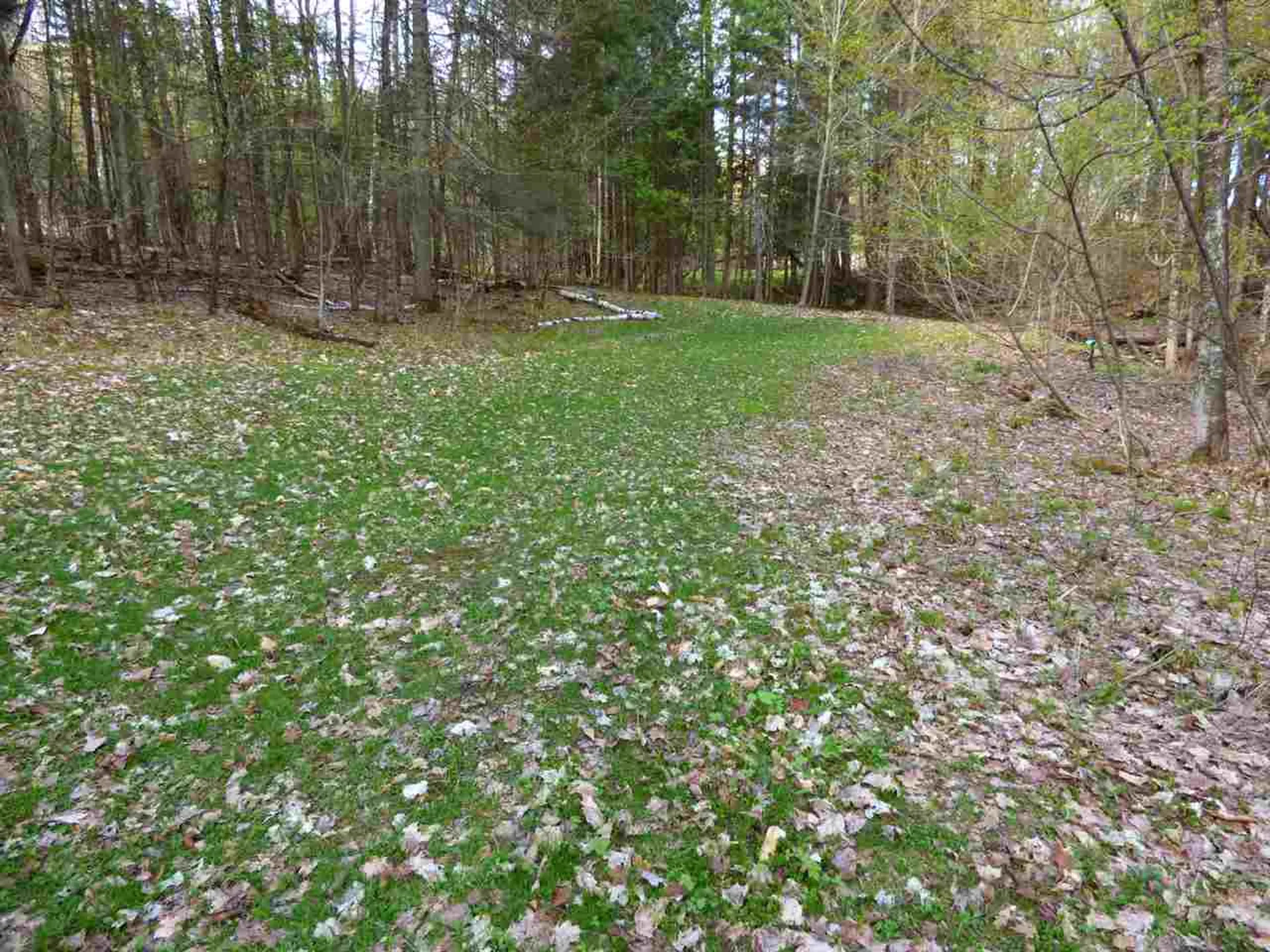 181 Corkins Road Charleston VT 05872