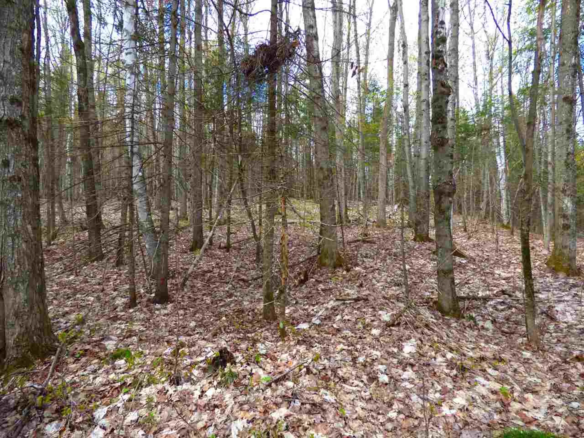 181 Corkins Road Charleston VT 05872