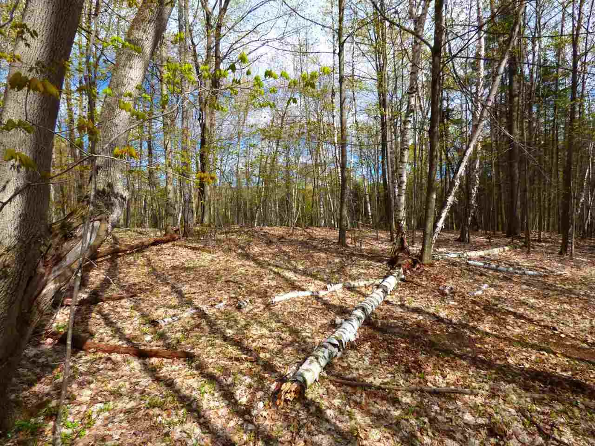 181 Corkins Road Charleston VT 05872