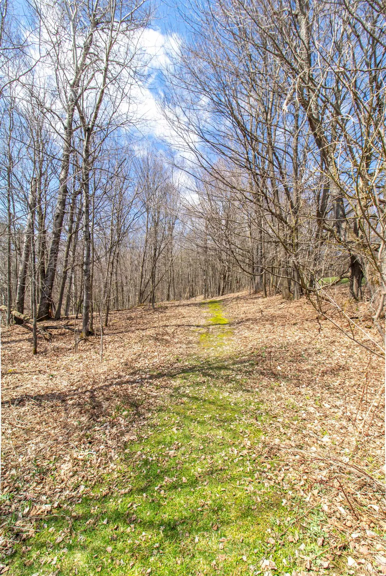 181 Corkins Road Charleston VT 05872