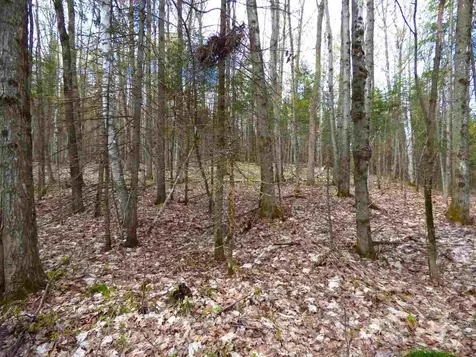 181 Corkins Road Charleston VT 05872