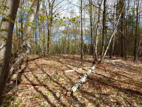 181 Corkins Road Charleston VT 05872