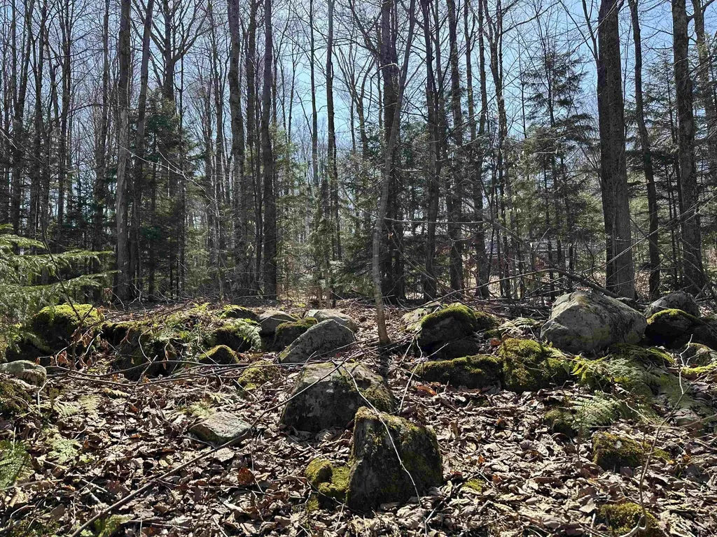 00 Ice Pond Road Chittenden VT 05763