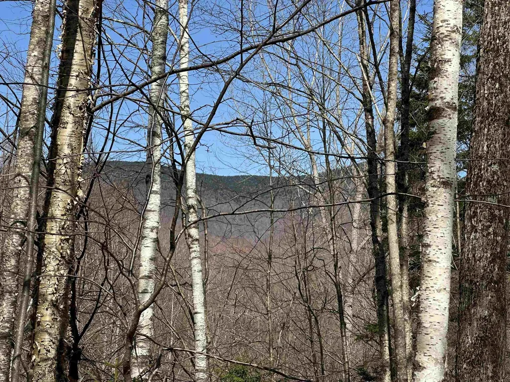 00 Ice Pond Road Chittenden VT 05763