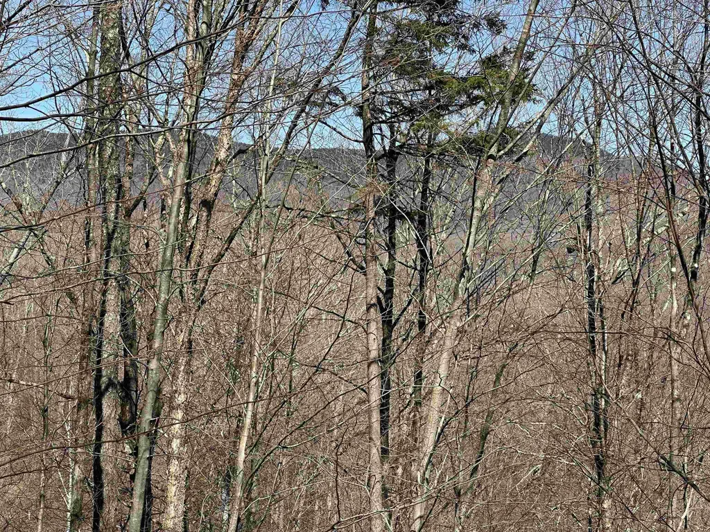 00 Ice Pond Road Chittenden VT 05763