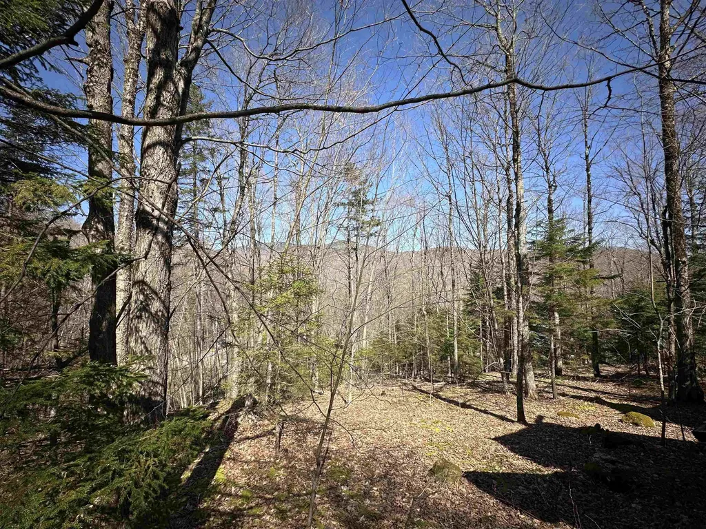 00 Ice Pond Road Chittenden VT 05763