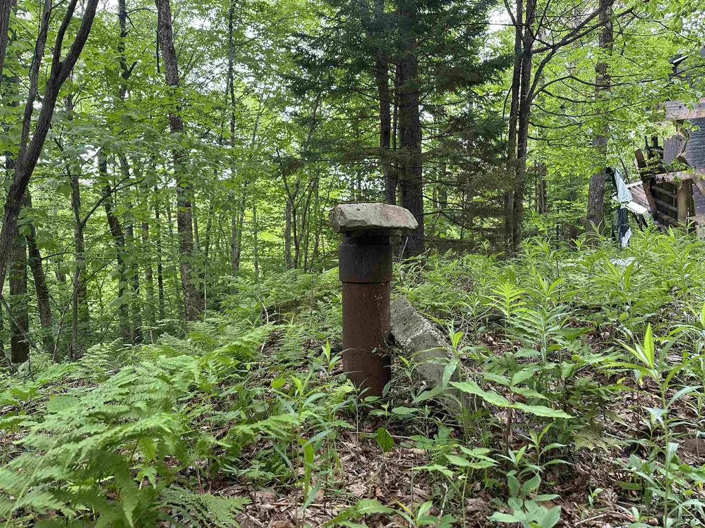 00 Ice Pond Road Chittenden VT 05763