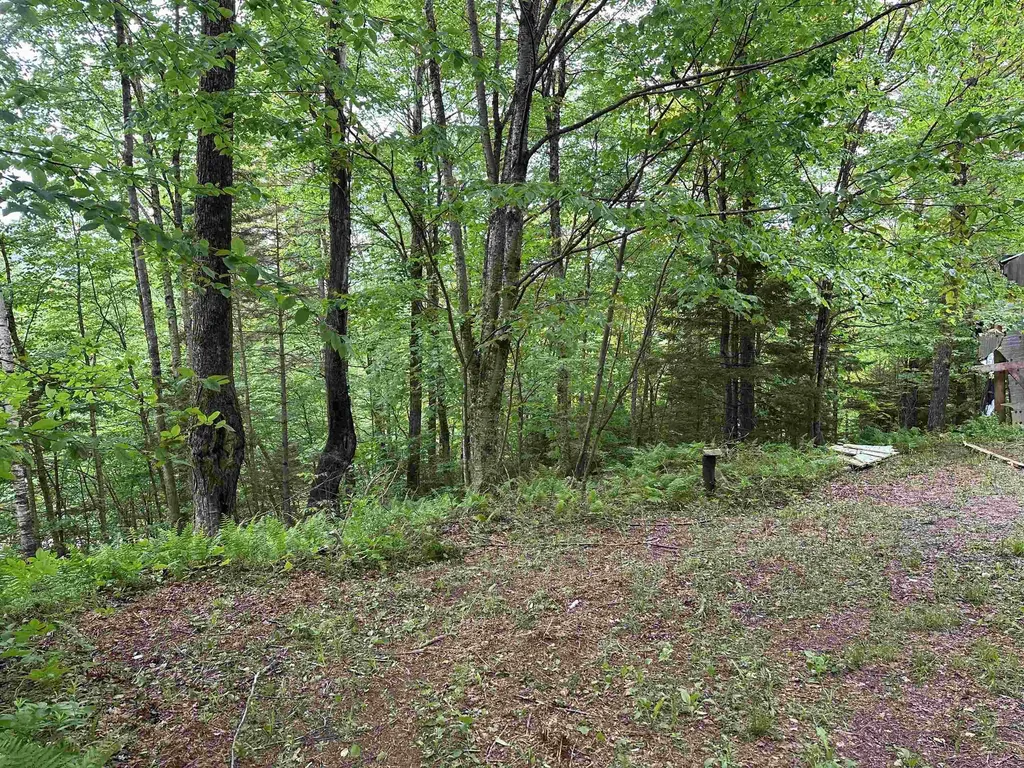 00 Ice Pond Road Chittenden VT 05763