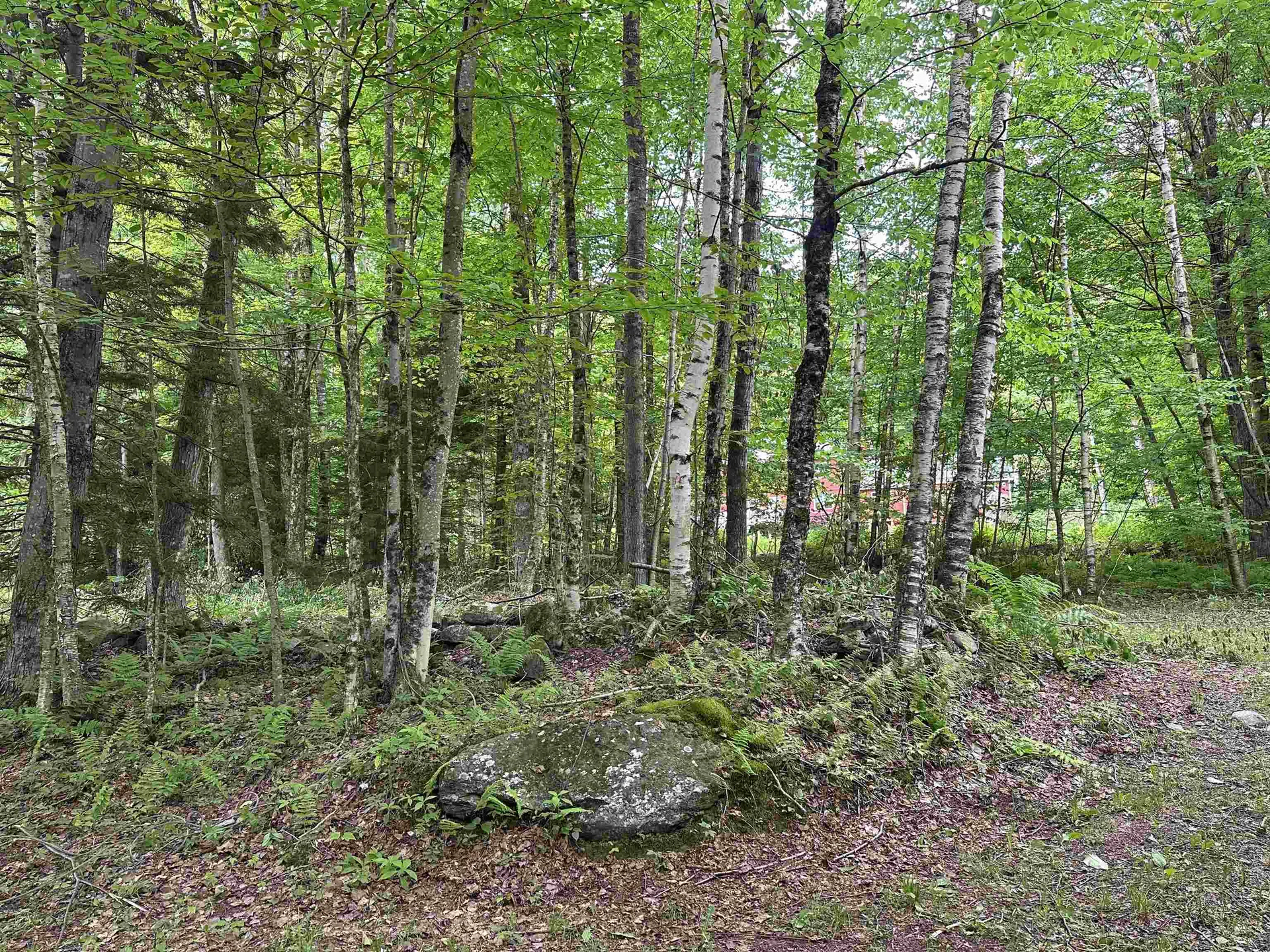 00 Ice Pond Road Chittenden VT 05763