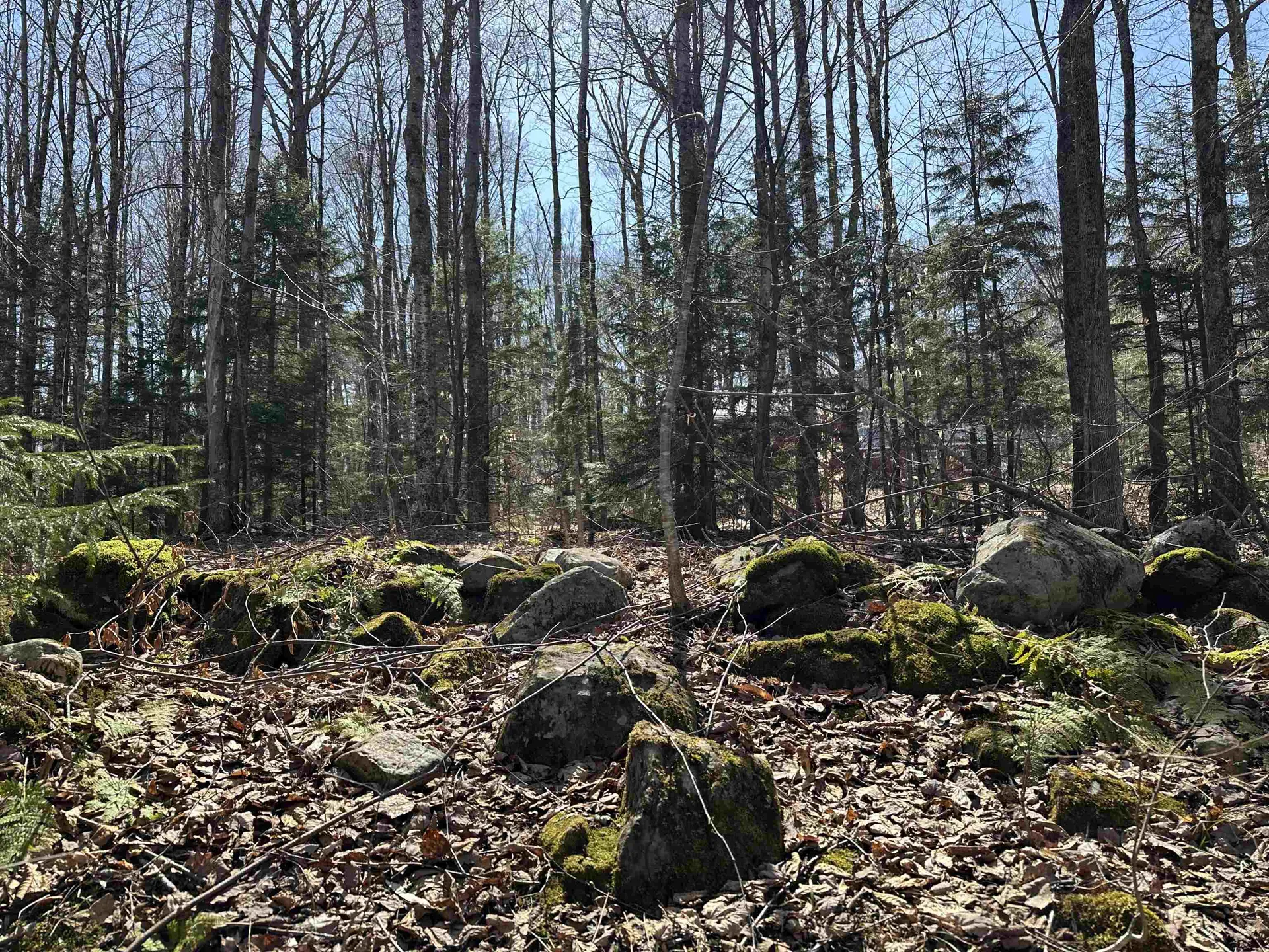 00 Ice Pond Road Chittenden VT 05763