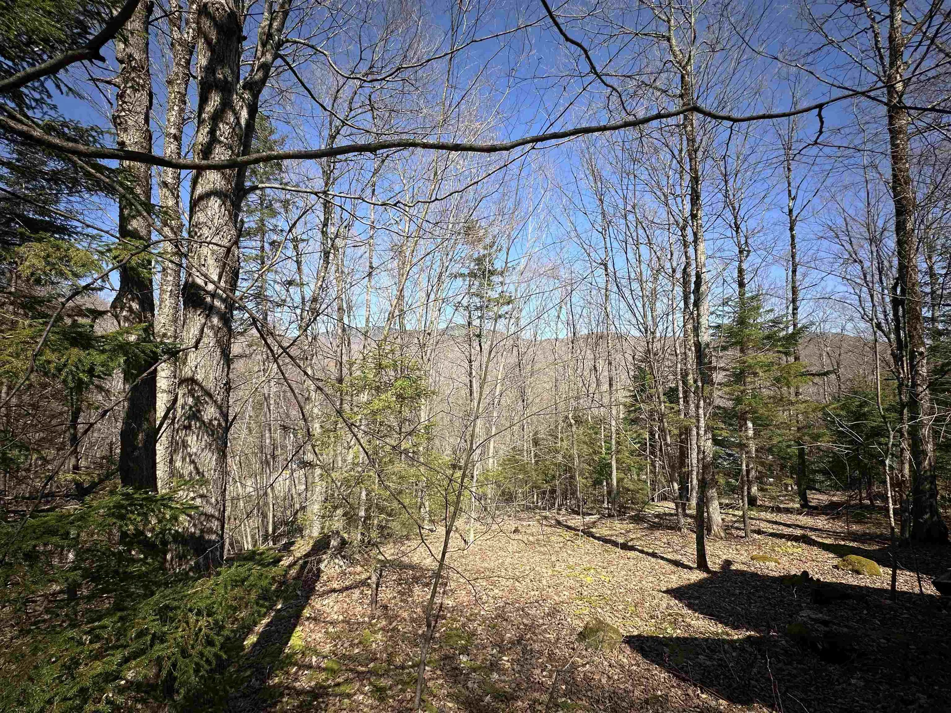 00 Ice Pond Road Chittenden VT 05763