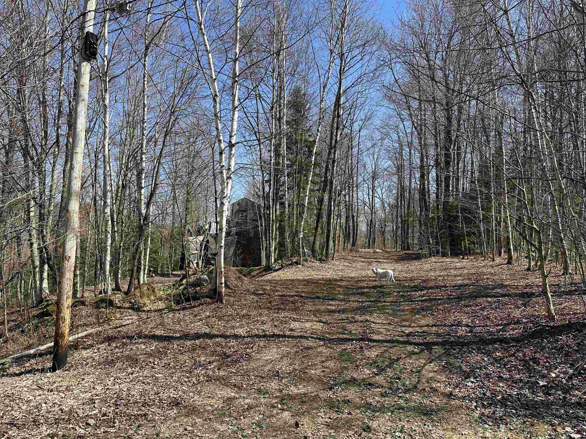 00 Ice Pond Road Chittenden VT 05763