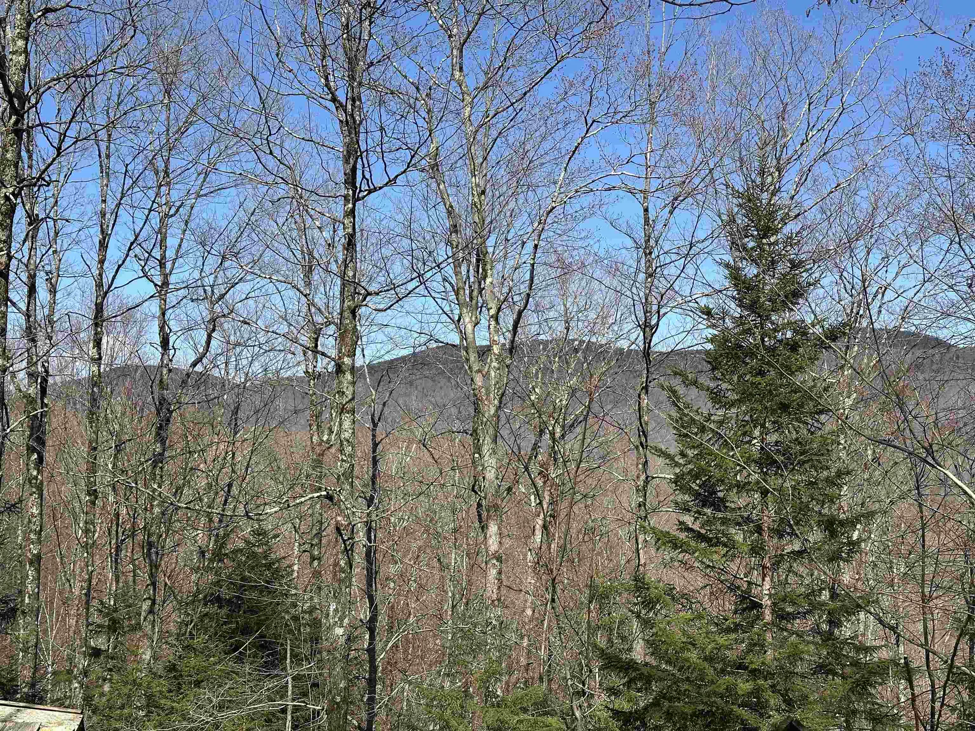 00 Ice Pond Road Chittenden VT 05763