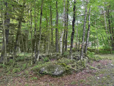 00 Ice Pond Road Chittenden VT 05763