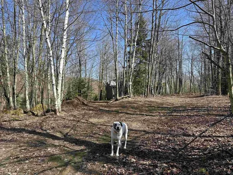 00 Ice Pond Road Chittenden VT 05763