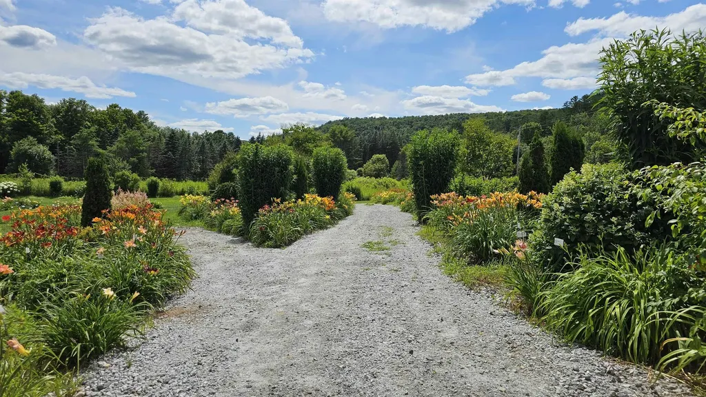 2263 Us Route 2 Marshfield VT 05658-7149