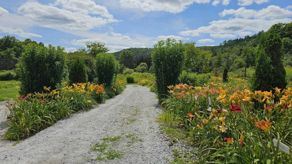 2263 Us Route 2 Marshfield VT 05658-7149