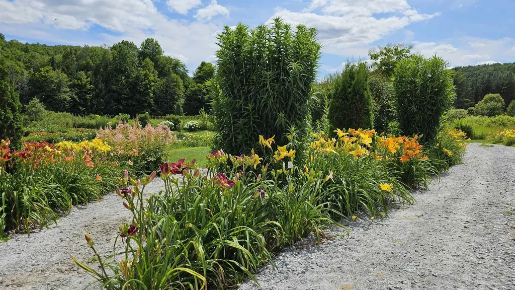 2263 Us Route 2 Marshfield VT 05658-7149