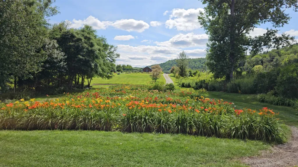 2263 Us Route 2 Marshfield VT 05658-7149