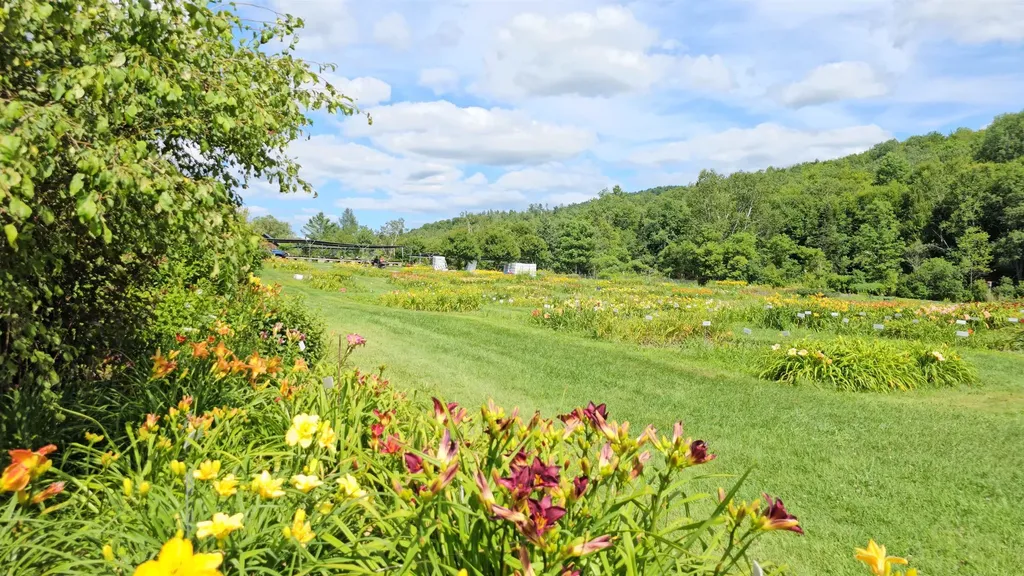 2263 Us Route 2 Marshfield VT 05658-7149