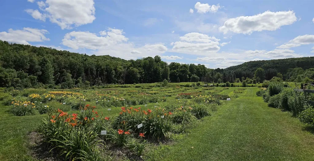 2263 Us Route 2 Marshfield VT 05658-7149