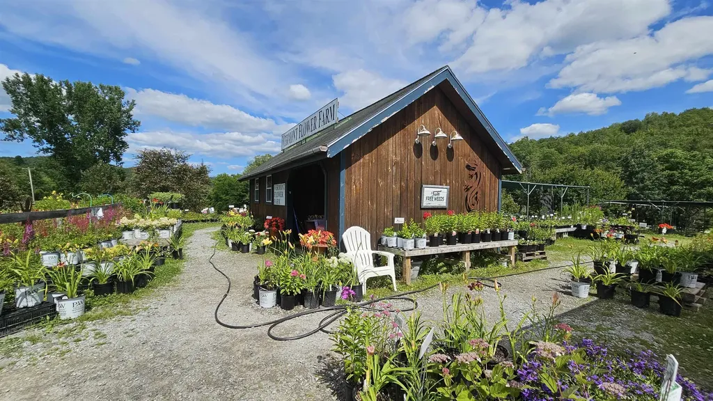 2263 Us Route 2 Marshfield VT 05658-7149