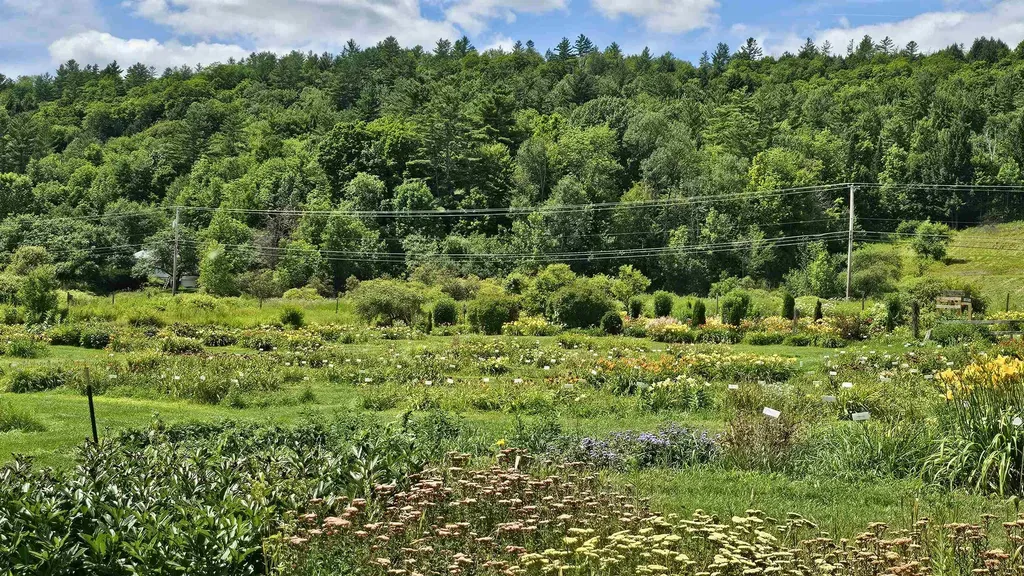 2263 Us Route 2 Marshfield VT 05658-7149