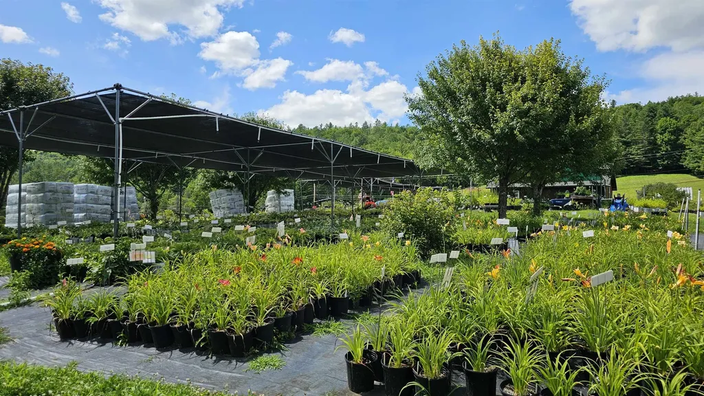 2263 Us Route 2 Marshfield VT 05658-7149