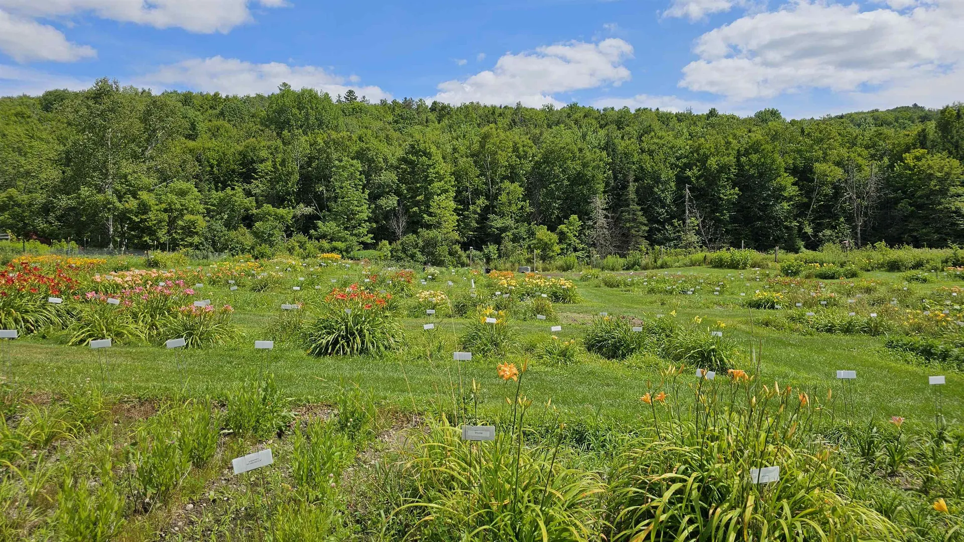 2263 Us Route 2 Marshfield VT 05658-7149