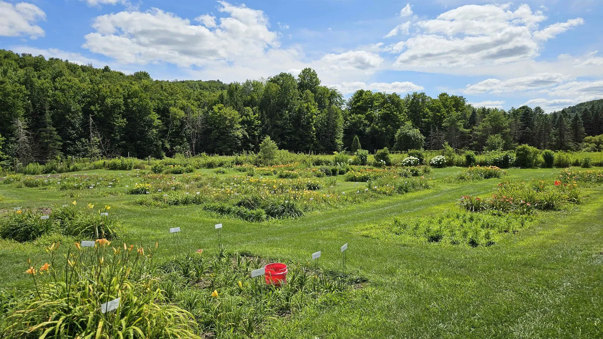 2263 Us Route 2 Marshfield VT 05658-7149