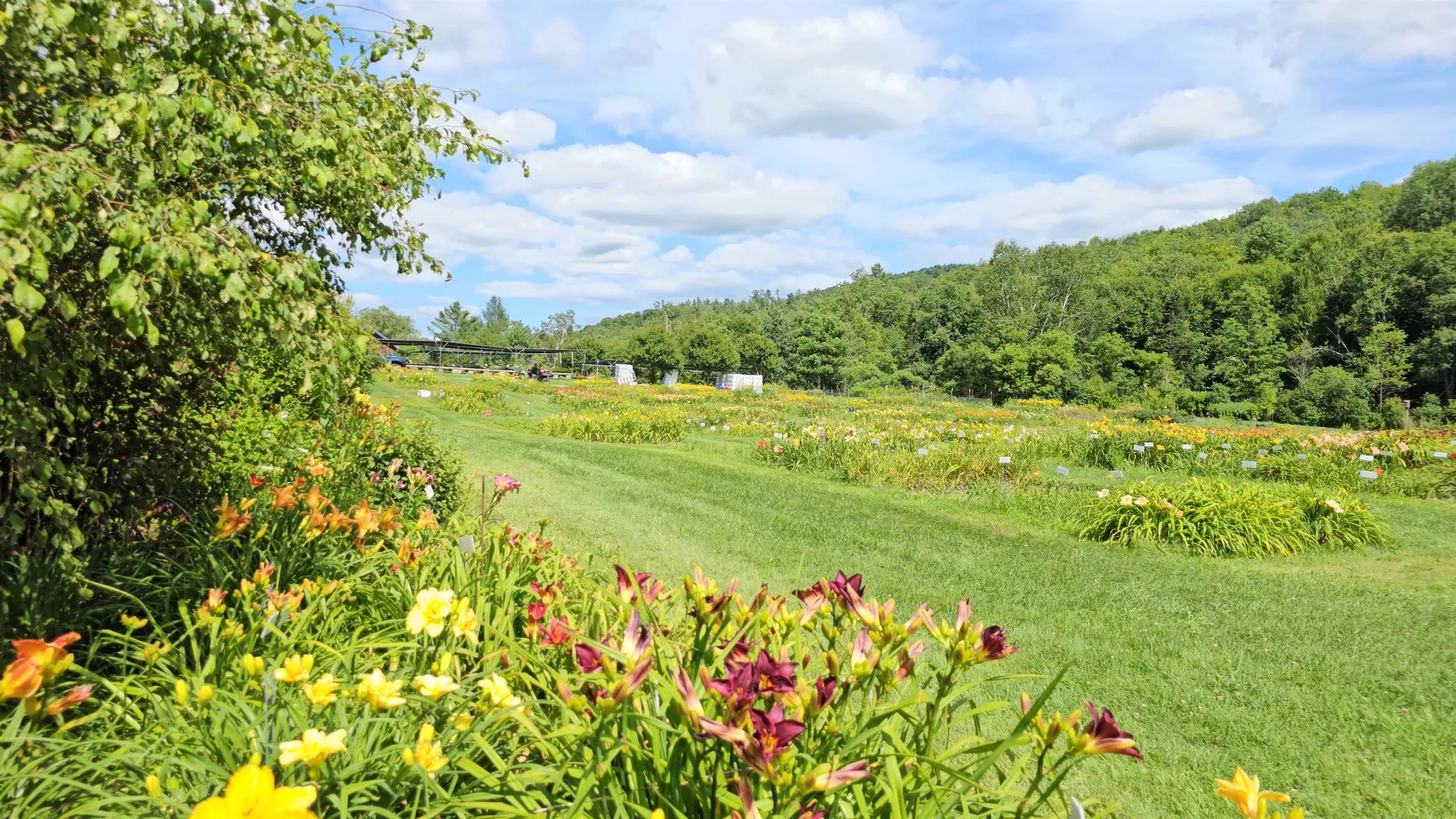 2263 Us Route 2 Marshfield VT 05658-7149