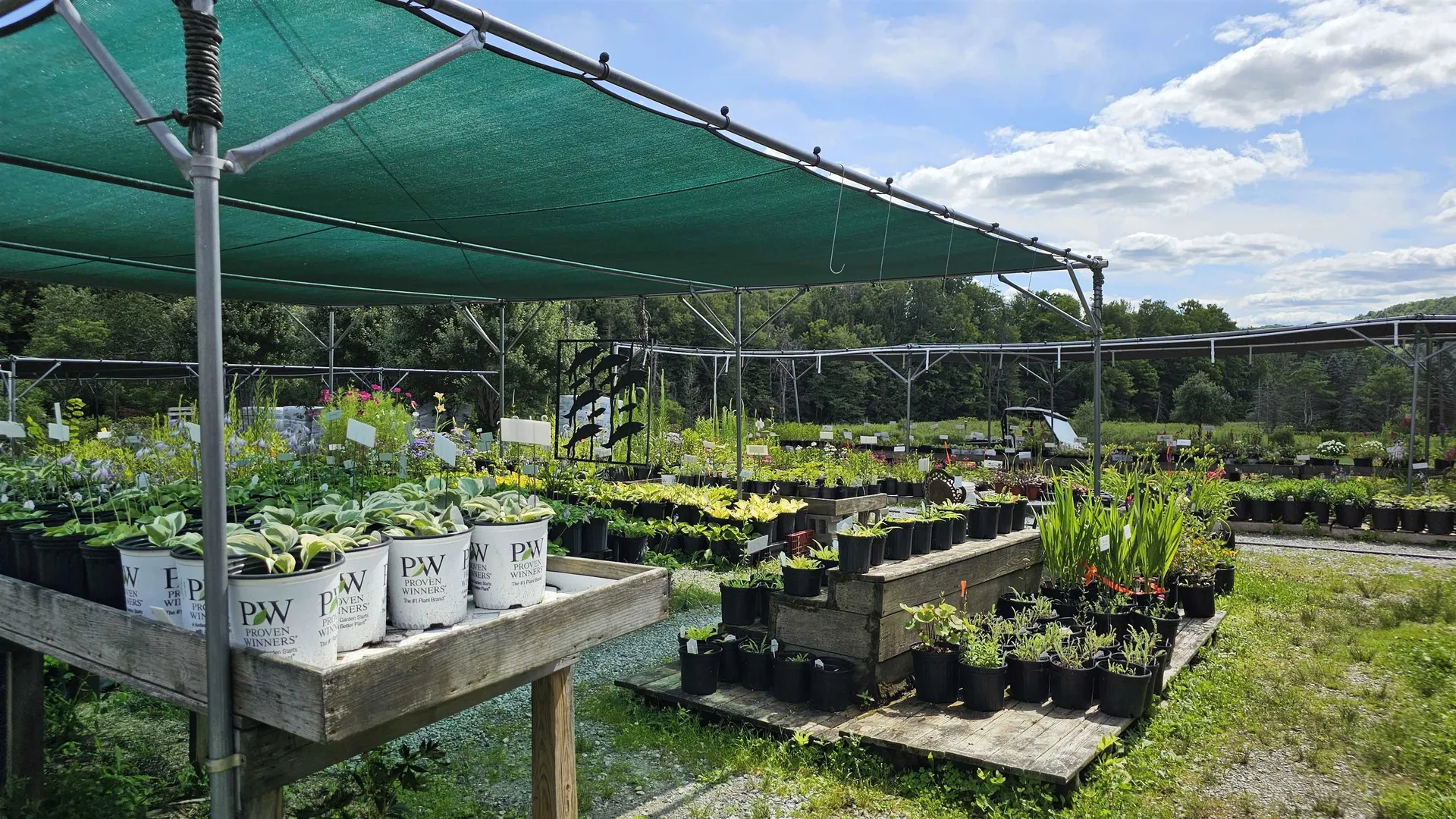 2263 Us Route 2 Marshfield VT 05658-7149