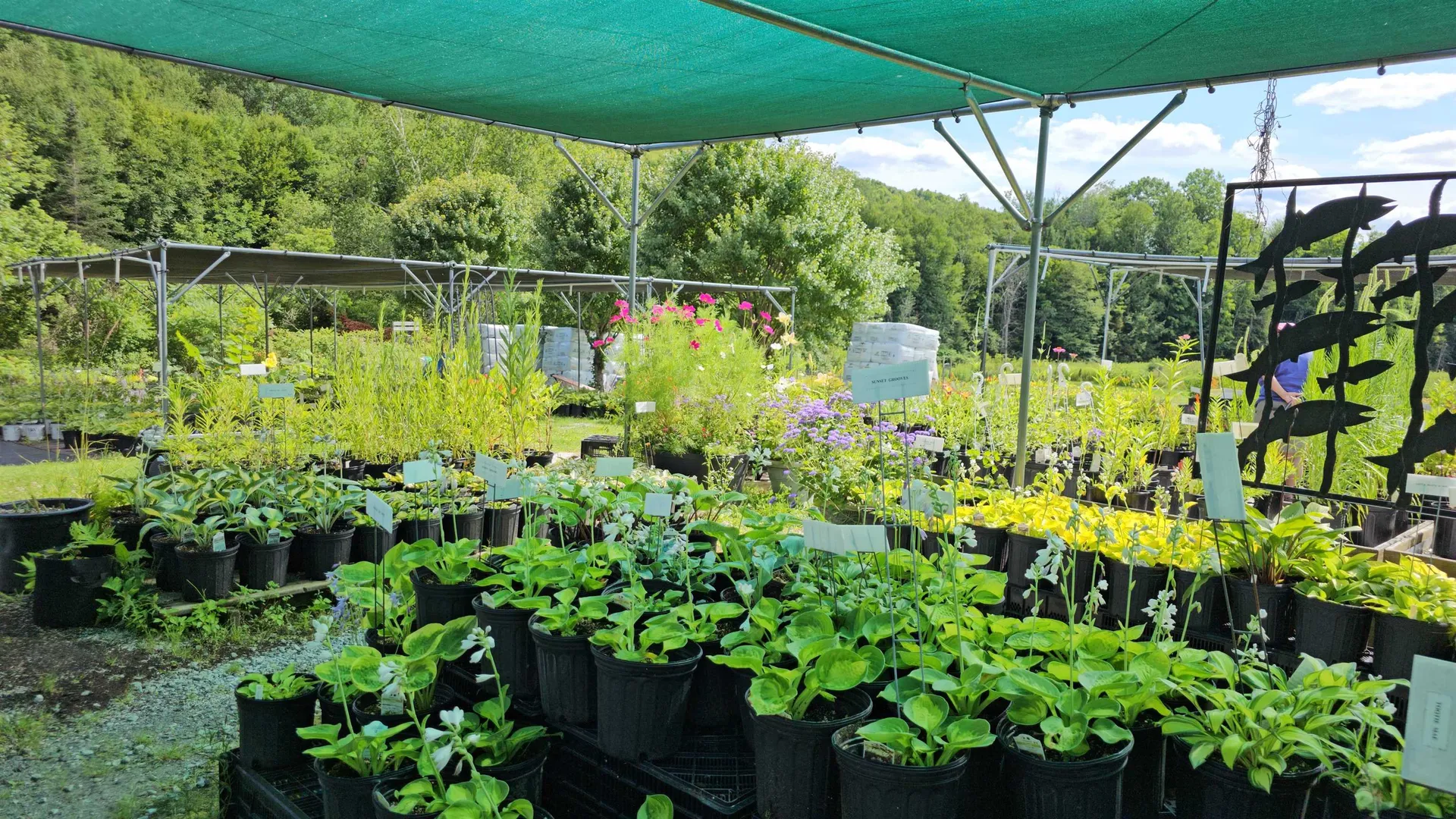 2263 Us Route 2 Marshfield VT 05658-7149