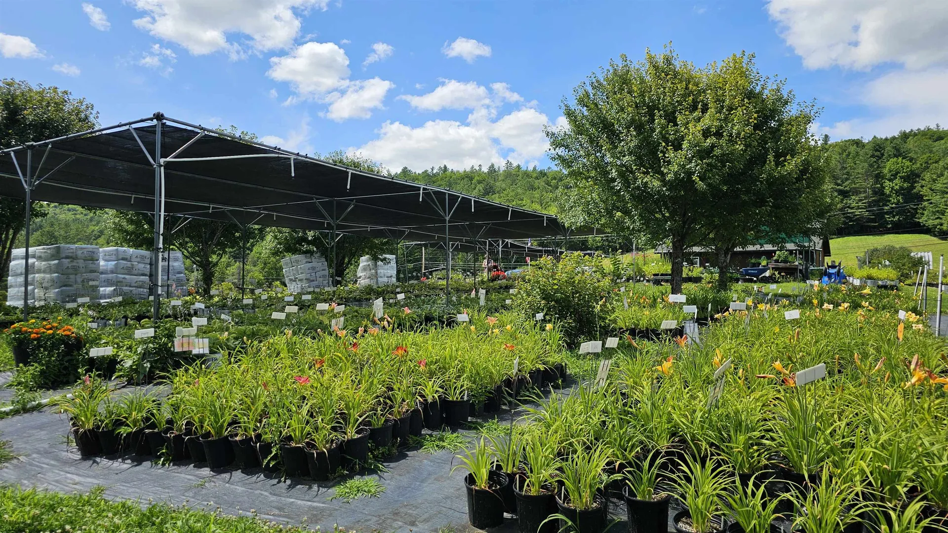 2263 Us Route 2 Marshfield VT 05658-7149