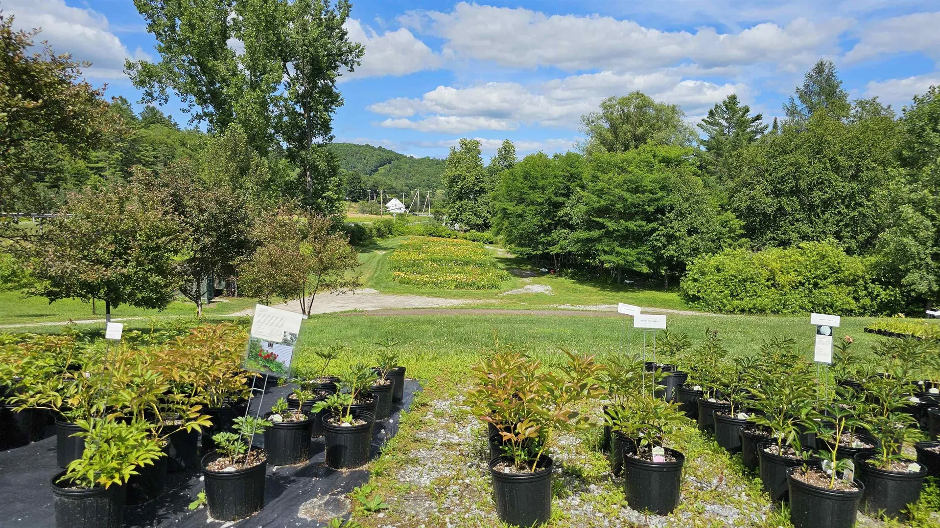 2263 Us Route 2 Marshfield VT 05658-7149