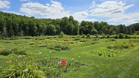 2263 Us Route 2 Marshfield VT 05658-7149